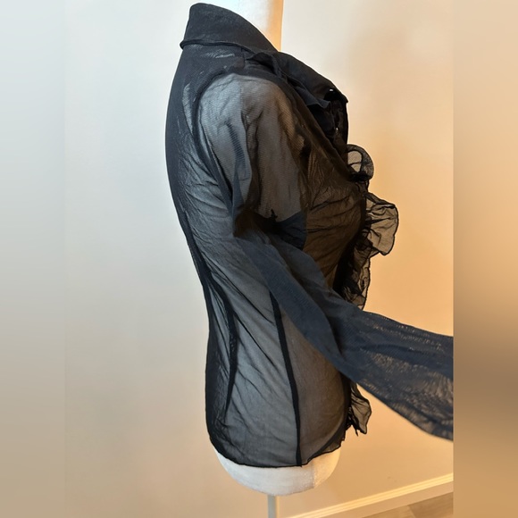 Zebra Sheer Vintage Ruffled Mesh Buttoned Blouse - Picture 7 of 12